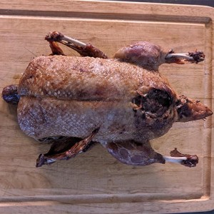 stuffed-duck
